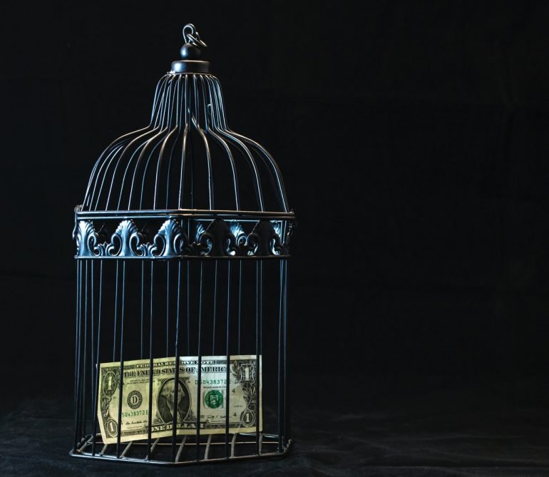 dollar bill in a cage