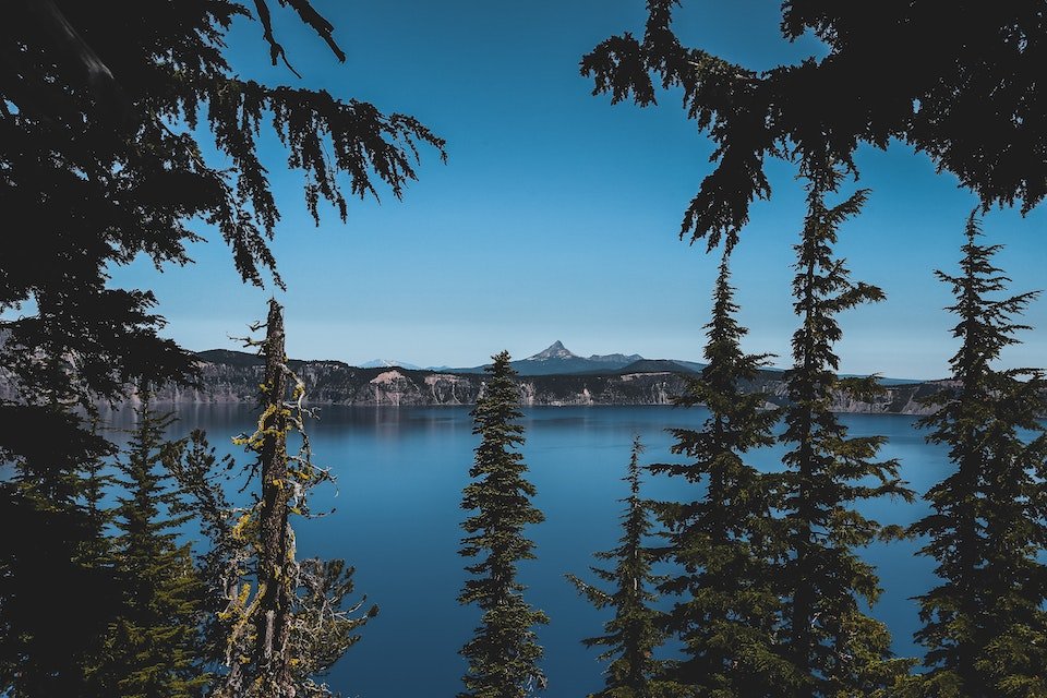 Trees, moutains and a lake;