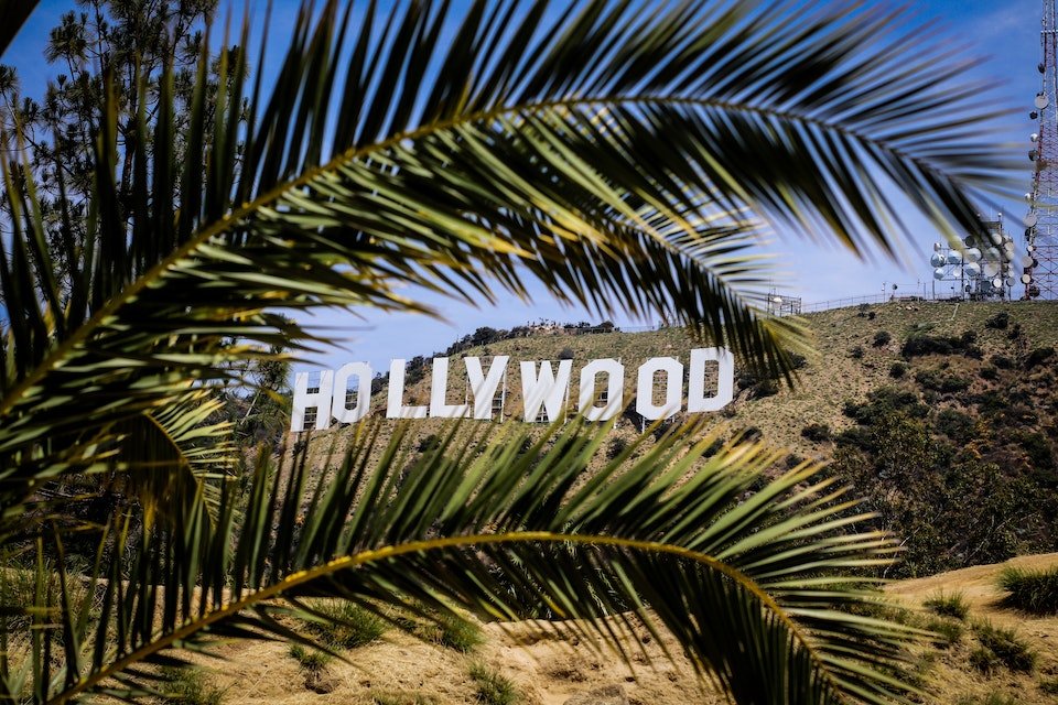 A Hollywood sign through the palm leaf;