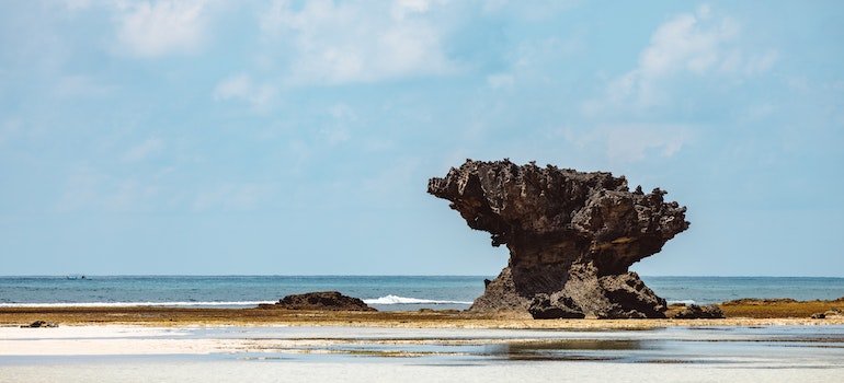 What to learn about Pacific Grove before moving