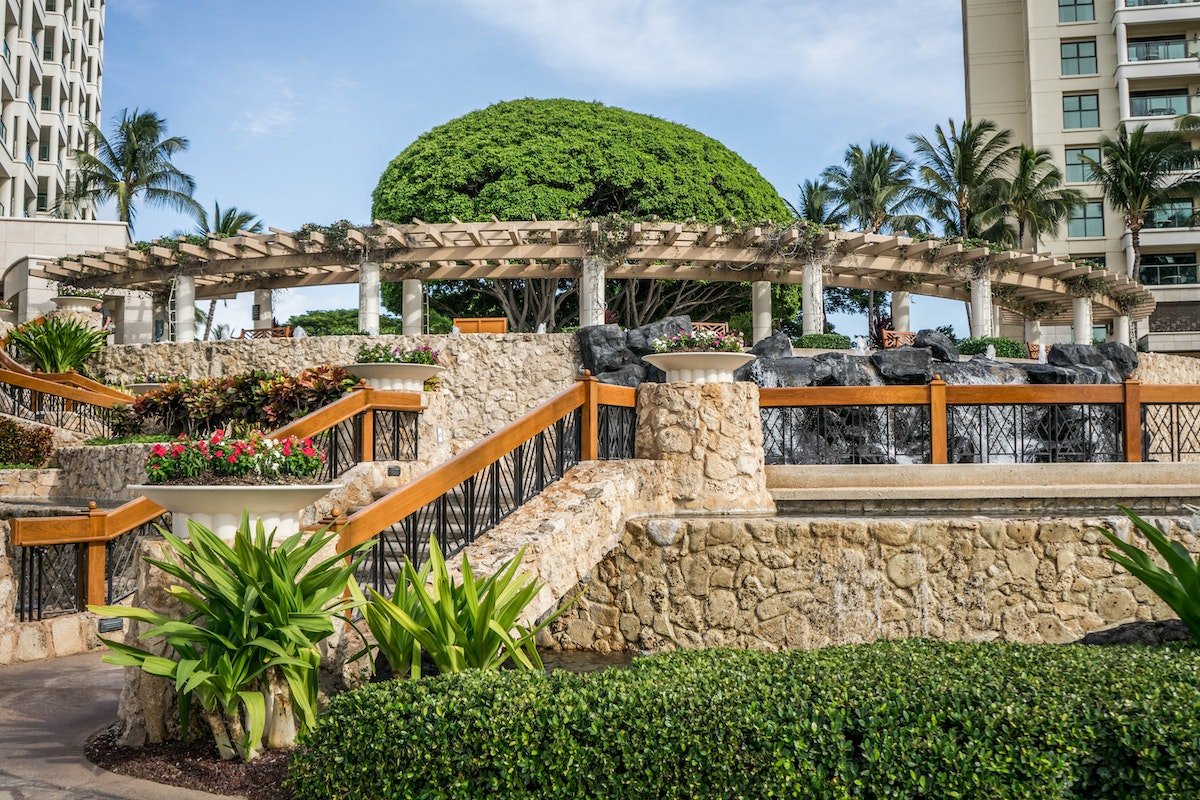 Green Shrubs Near the Gazebo.