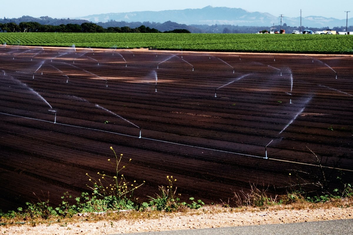 A field in one of the best places for startups in Monterey County