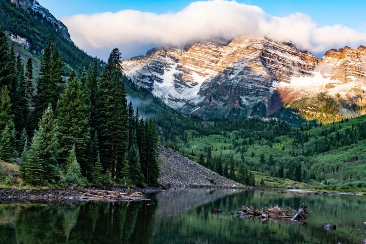 green pine trees around the lake