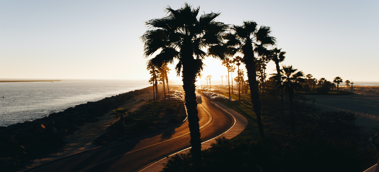 A sunset with palm trees, showing the life in Monte Sereno.
