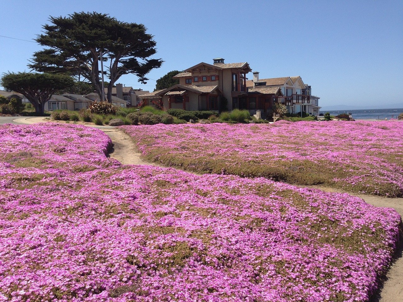 Magic Carpet, Pacific Grove