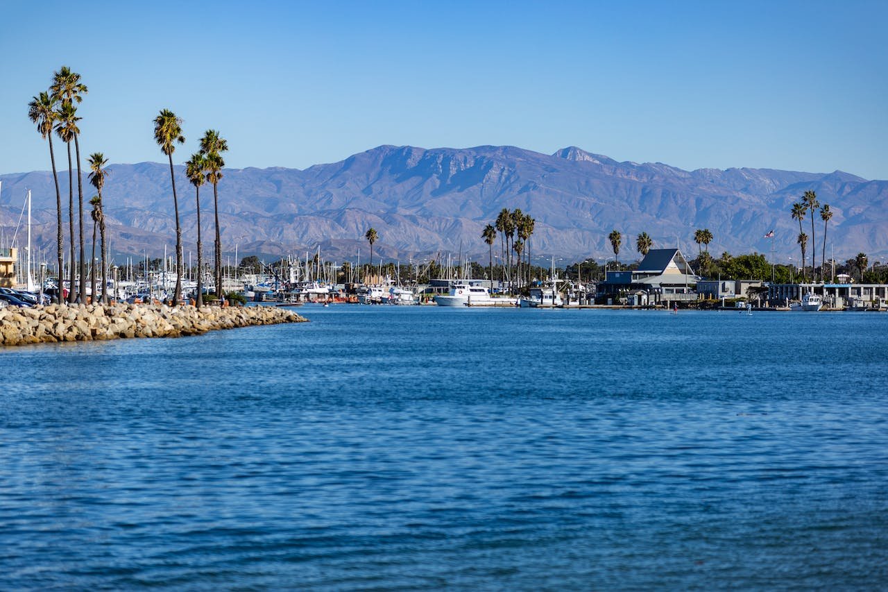 a coastal line with palms view from the sea